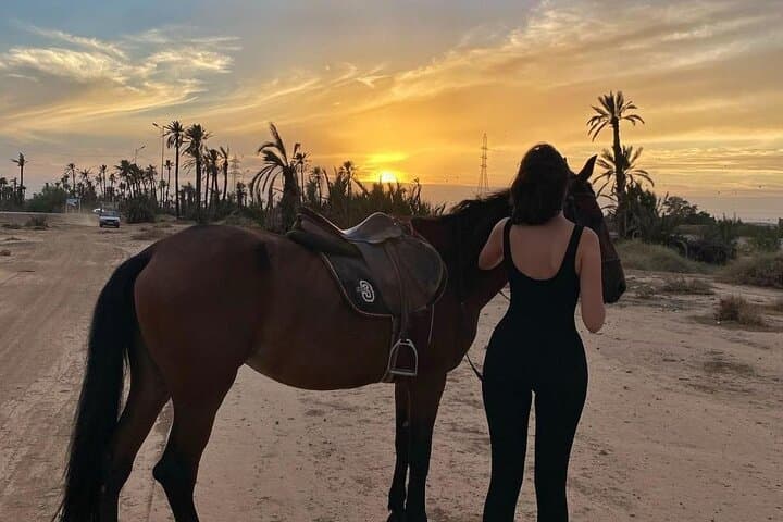 Palmeraie Horseback Ride & Mint Tea — Private Marrakech Palm Grove Experience photo 5