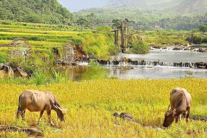 Pu Luong Hidden Paradise: Private Day Trip with Bamboo Rafting from Hanoi photo 4