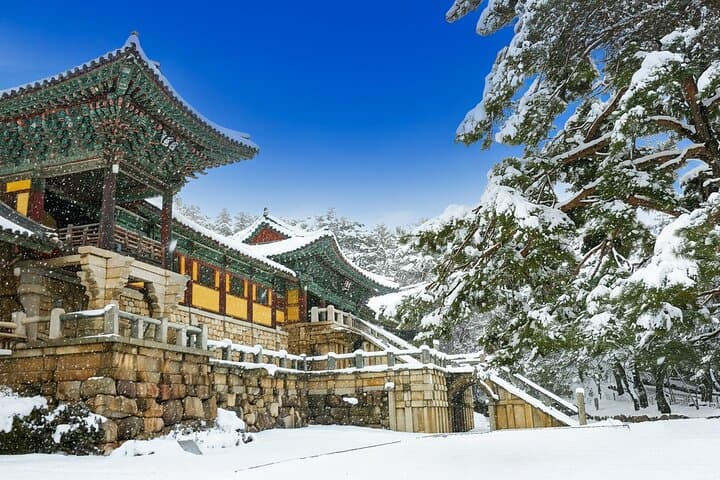 Busan to Gyeongju UNESCO Day Tour: Bulguksa, Hanok Village & Night View