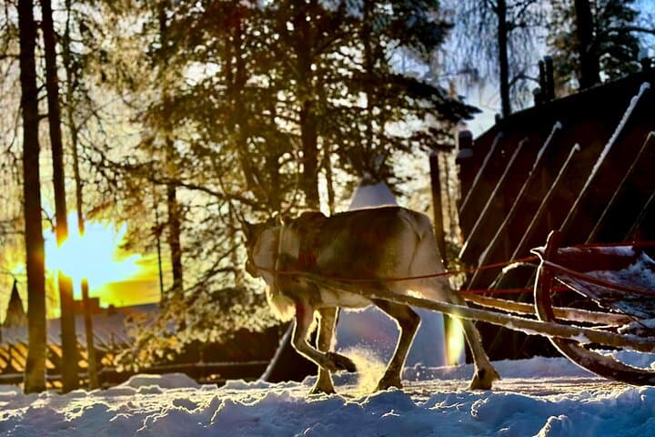 Meet Santa at Santa Claus Village Rovaniemi: Arctic Circle, Husky & Reindeer Rides photo 3