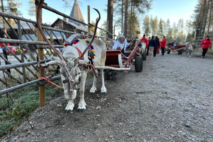 Meet Santa at Santa Claus Village Rovaniemi: Arctic Circle, Husky & Reindeer Rides photo 4