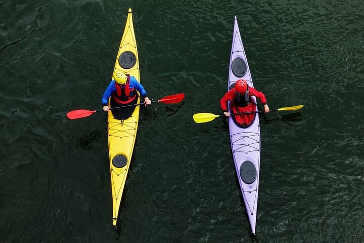 Kayaking Purple Island Qatar: 4-Hour Mangrove Tour from Doha photo 3