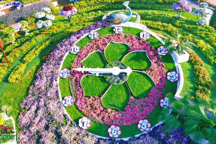 Dubai Miracle Garden and Global Village Afternoon Tour with Private Transfer
