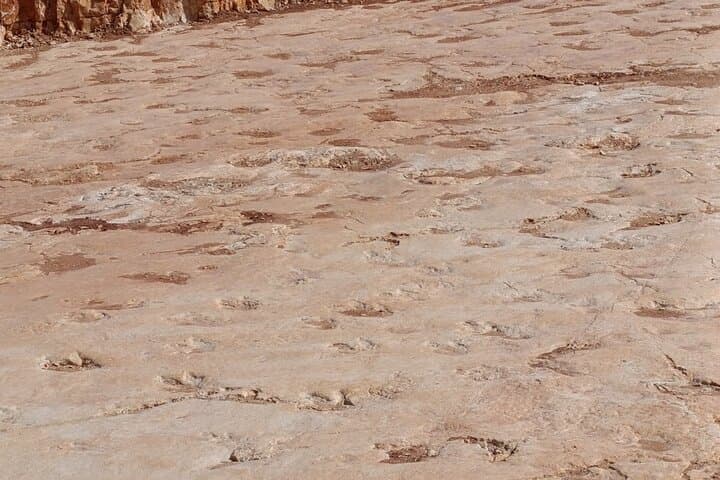 Discover Serra de Aire from Mendiga: Karst Walk & Cultural Immersion photo 6