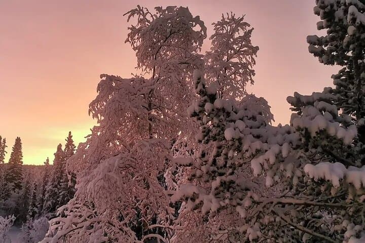 Snowmobiling the Arctic: Guided Lapland Snowmobile Tour from Kiruna photo 4