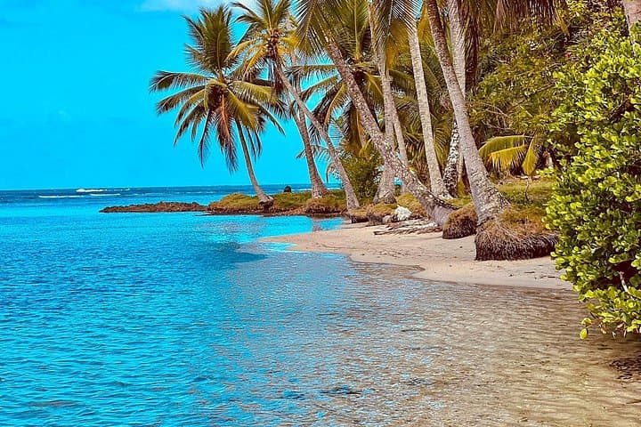 Sailing to Portobelo's Hidden Caribbean Beaches: Venas Azules & Playa Blanca Day Trip photo 3