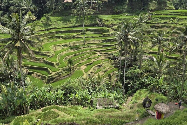 Ubud Private Tour: Temples, Tegalalang Rice Terraces & Waterfalls