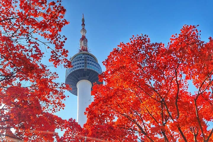 Seoul City Pass Deluxe: Top Attractions, DMZ, Han River & Nami Island photo 1