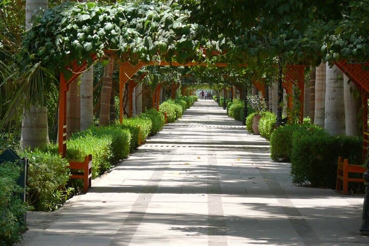 Sail a Traditional Felucca to Aswan's Kitchener Island Botanic Gardens photo 4