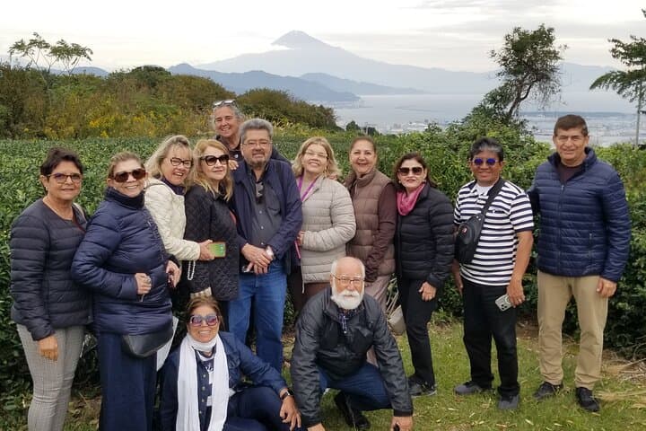 Fuji Area Cultural Highlights Day Tour from Shimizu Port — Shiraito Falls, Sengen Taisha & Miho no Matsubara photo 5