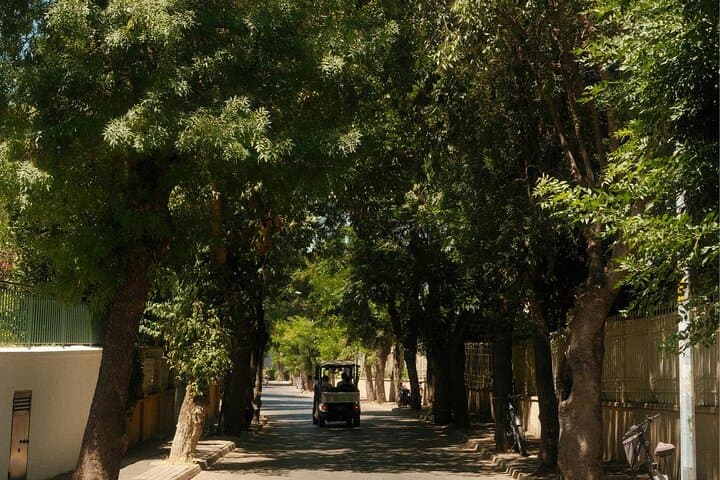 Cycling Büyükada: A Four-Hour Ride Through the Princes' Islands photo 2
