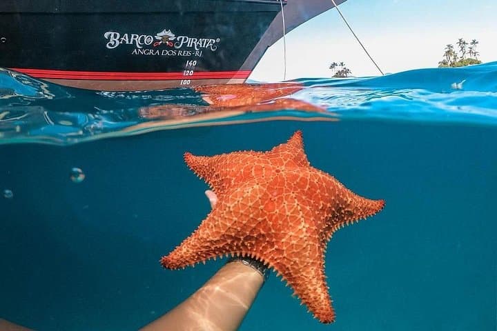 Angra dos Reis and Ilha Grande Full-Day Boat Tour from Rio