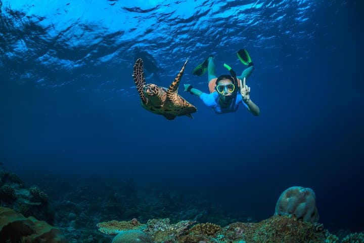 Daymaniyat Islands Private Snorkel: 5-Hour Trip from Al Mouj Marina photo 1