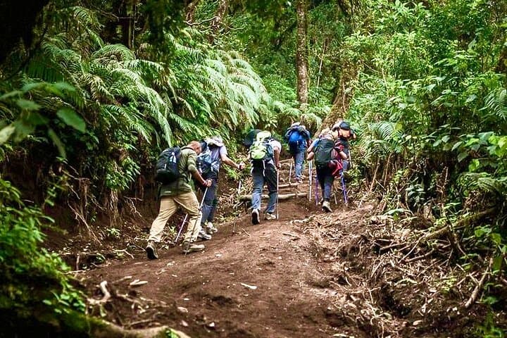 Overnight Acatenango Volcano Hike: Summit, Lava Views & Adventure Camping photo 5