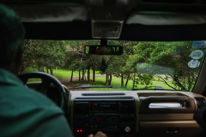 Terceira Island Jeep Tour from Angra: Monte Brasil, Dirt Roads & Algar do Carvão photo 2