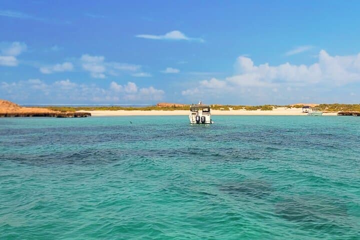 Private Dimaniyat Islands Full-Day Snorkel & Beach Barbecue from Muscat photo 4