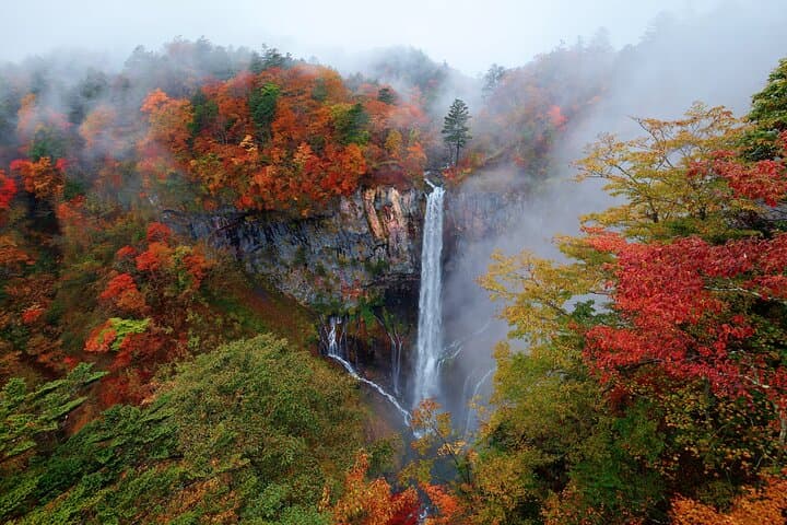 Private Nikko Day Trip — Kegon Falls, Lake Chūzenji & Nikko National Park photo 2