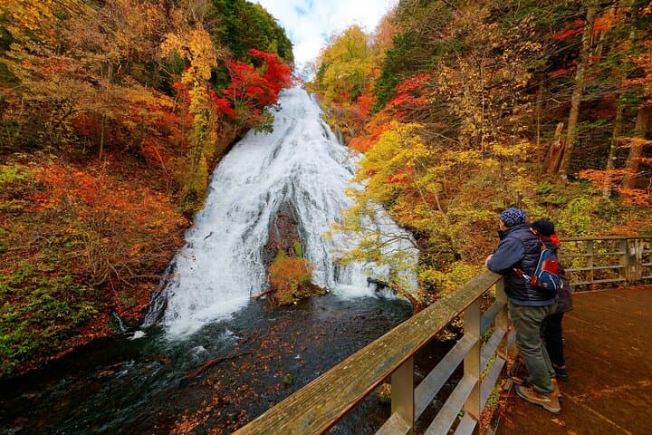 Private Nikko Day Trip — Kegon Falls, Lake Chūzenji & Nikko National Park photo 3