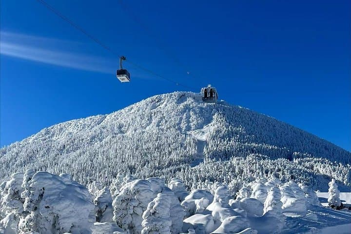 Mont-Tremblant Winter Day Trip from Montreal — Gondola Summit, Village Strolls & Optional Adventures photo 4