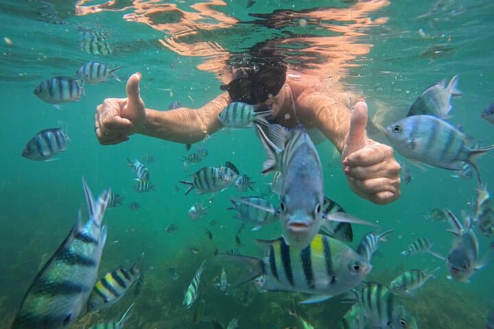 Bintan Snorkeling & Kayaking: White Sand Island Day Adventure