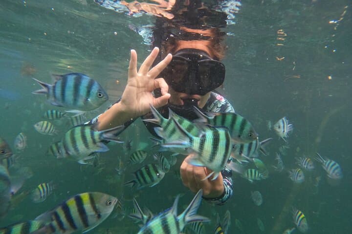 Bintan Snorkeling & Kayaking: White Sand Island Day Adventure photo 2