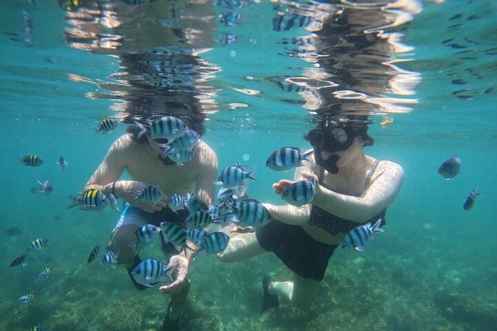 Bintan Snorkeling & Kayaking: White Sand Island Day Adventure photo 3