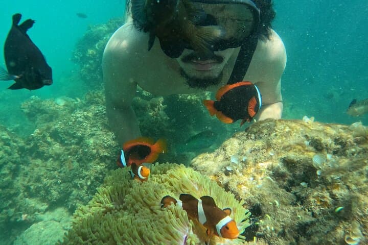 Bintan Snorkeling & Kayaking: White Sand Island Day Adventure photo 4