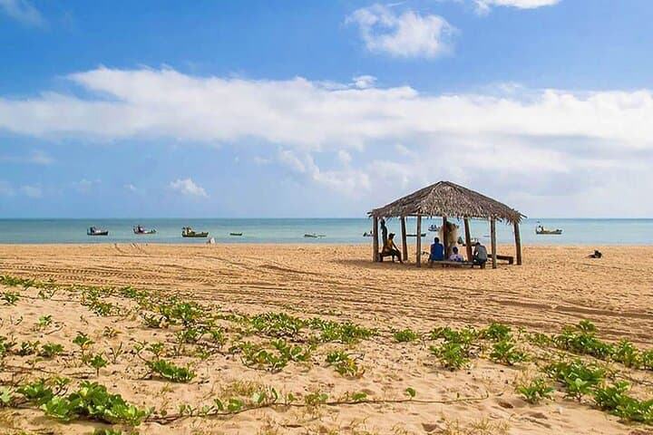 Sao Miguel do Gostoso: Beaches, Cachaça and Coastal Calm from Natal photo 3