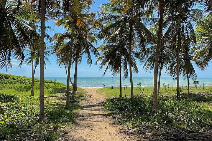Sao Miguel do Gostoso: Beaches, Cachaça and Coastal Calm from Natal photo 5