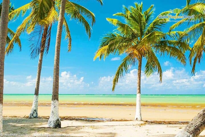 Paripueira Natural Pools: Snorkel Turquoise Waters and White-Sand Beaches in Alagoas
