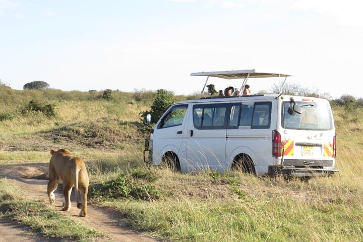 Tsavo East Day Safari from Mombasa — Yatta Plateau & Big Game photo 1