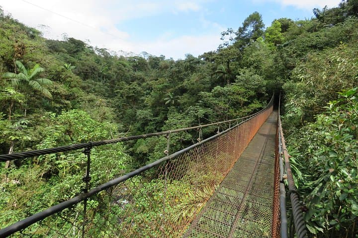 San Luis Canopy & Suspension Bridges: Cloud Forest Zipline Adventure Near San José photo 1