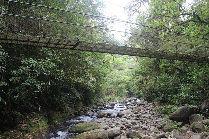 San Luis Canopy & Suspension Bridges: Cloud Forest Zipline Adventure Near San José photo 4