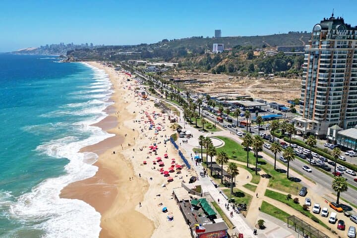 Full-Day Wine Tasting and Coastal Cities Tour: Viña del Mar, Valparaíso & Casablanca Valley photo 3