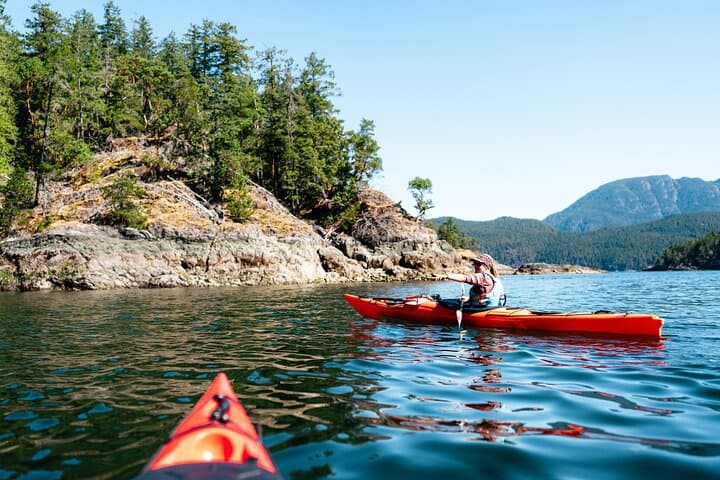 Campbell River Kayak and Whale-Watching Combo: Full-Day Wildlife Adventure