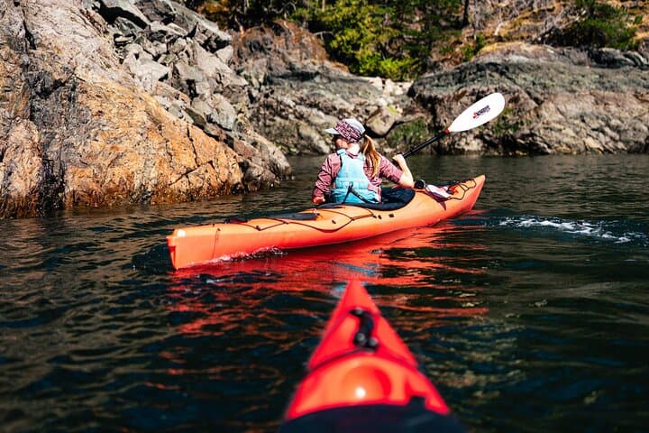 Campbell River Kayak and Whale-Watching Combo: Full-Day Wildlife Adventure photo 4