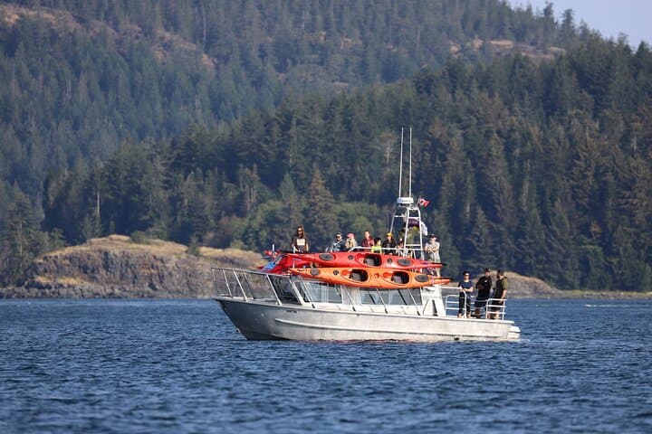Campbell River Kayak and Whale-Watching Combo: Full-Day Wildlife Adventure photo 2