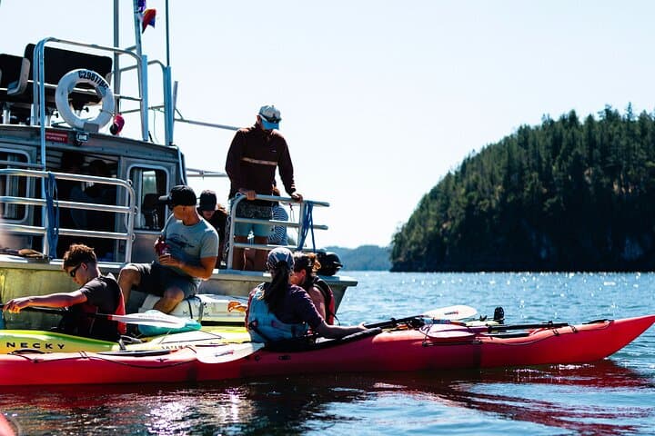 Campbell River Kayak and Whale-Watching Combo: Full-Day Wildlife Adventure photo 3