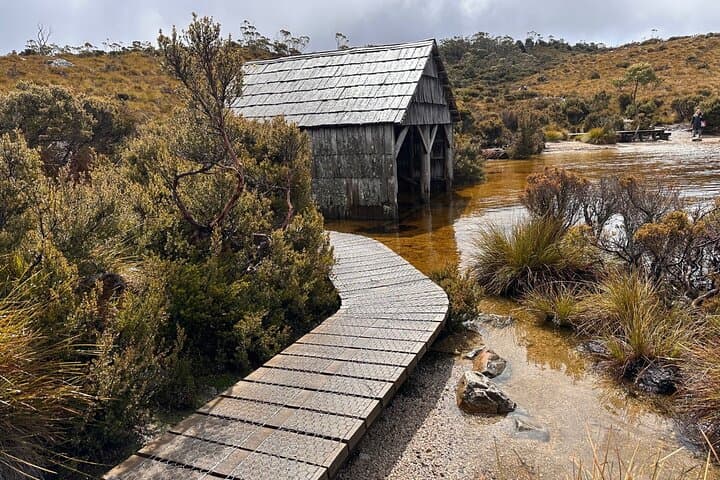 Cradle Mountain Day Tour from Launceston: Dove Lake, Rainforest Walk & Lunch photo 3