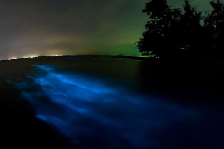Manialtepec Bioluminescence Night Tour — Swim the Glowing Lagoon Near Puerto Escondido