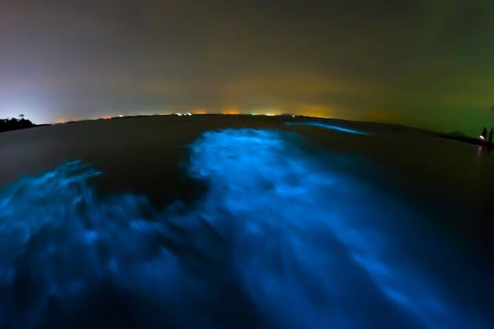 Manialtepec Bioluminescence Night Tour — Swim the Glowing Lagoon Near Puerto Escondido photo 2