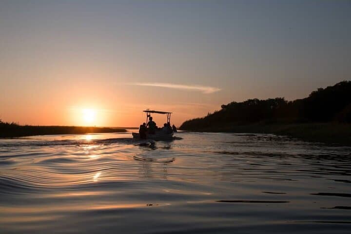 Manialtepec Bioluminescence Night Tour — Swim the Glowing Lagoon Near Puerto Escondido photo 4