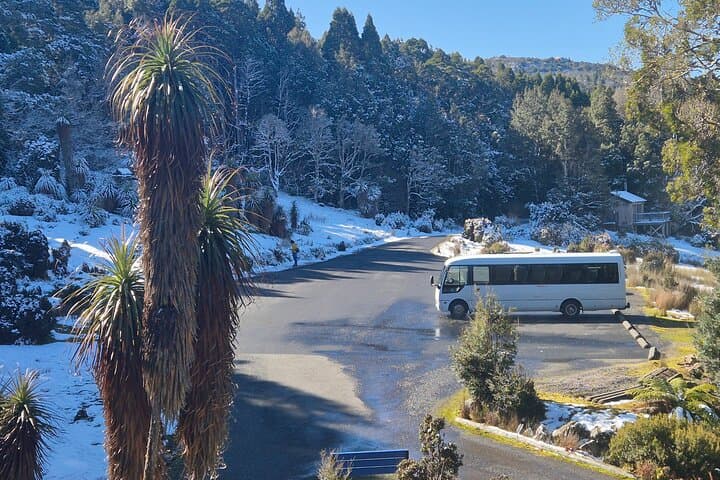Cradle Mountain Day Tour from Launceston: Dove Lake, Rainforest Walk & Lunch photo 5