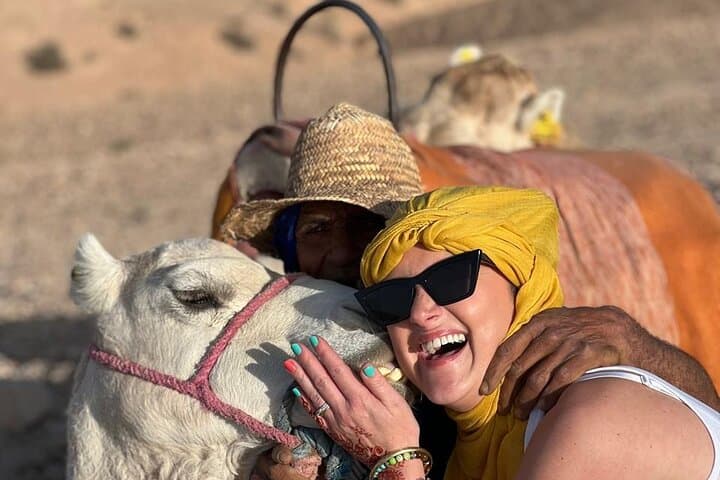 Agafay Desert Sunset: Quad Bike or Camel Ride with Dinner & Live Show from Marrakech photo 6