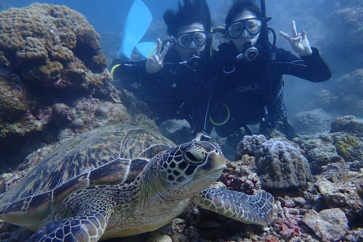 Ishigaki Island Introductory Scuba for Two — Novice-Friendly Dives in Crystal Waters photo 3