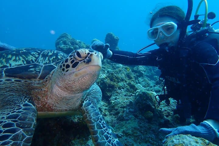 Ishigaki Island Introductory Scuba for Two — Novice-Friendly Dives in Crystal Waters photo 2