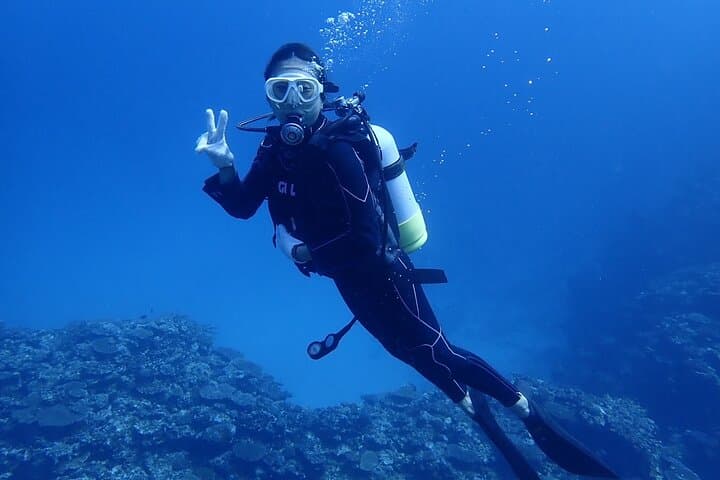 Private Diving Experience at Ishigaki Island — Novice-Friendly Scuba & Snorkel Charter photo 3