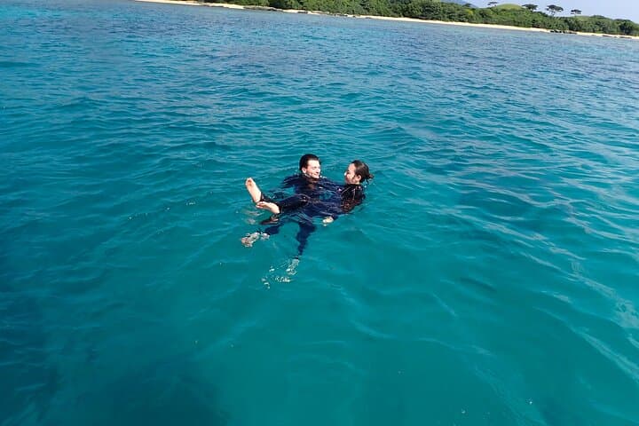 Half-Day Private Scuba Charter in Ishigaki — Sea Turtles & Manta Rays photo 6
