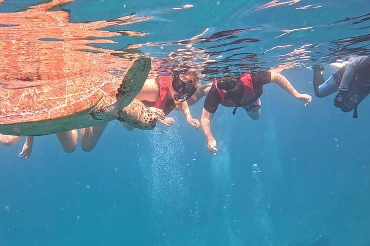 Ishigaki Island Snorkeling: Coral Gardens and Mackerel Shoals photo 4