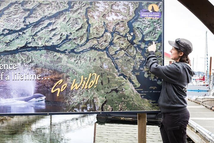 Spring Bear Watching and Waterfalls Boat Tour from Campbell River photo 2